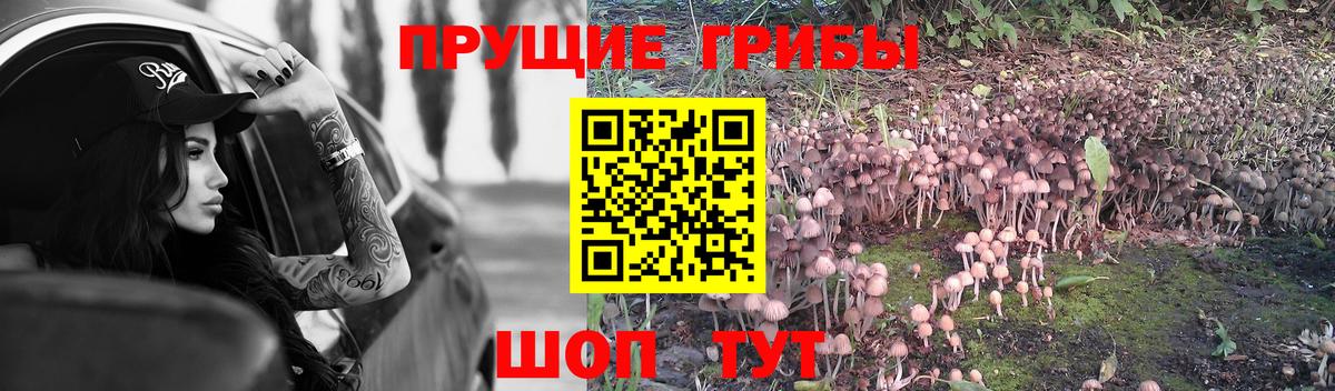 Псилоцибиновые грибы Magic Shrooms Нижний Новгород
