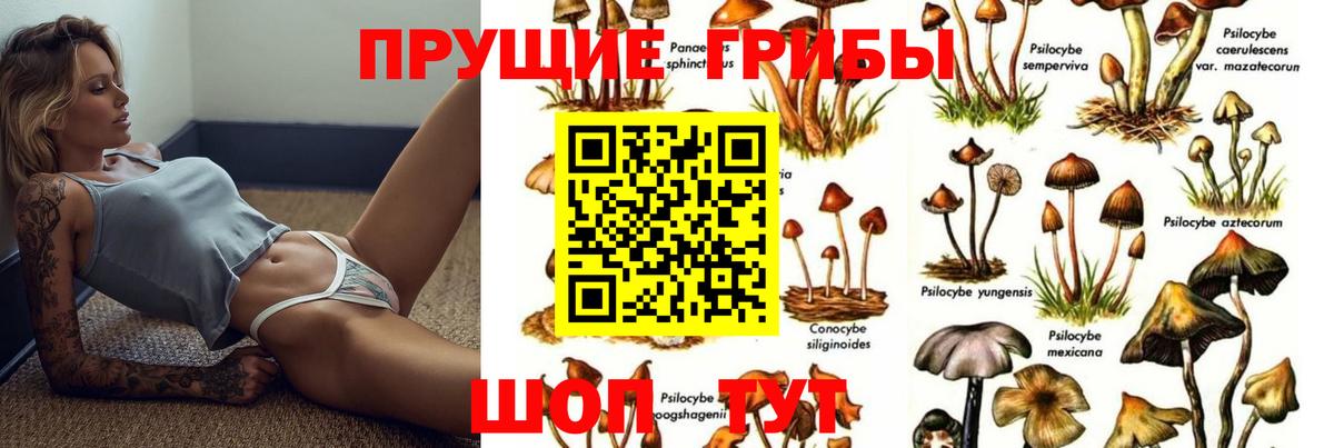 Нижний Новгород  Галлюциногенные грибы Psilocybe  Вход с VPN 